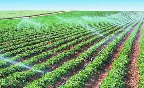 日日日日日日日屄农田高 效节水灌溉